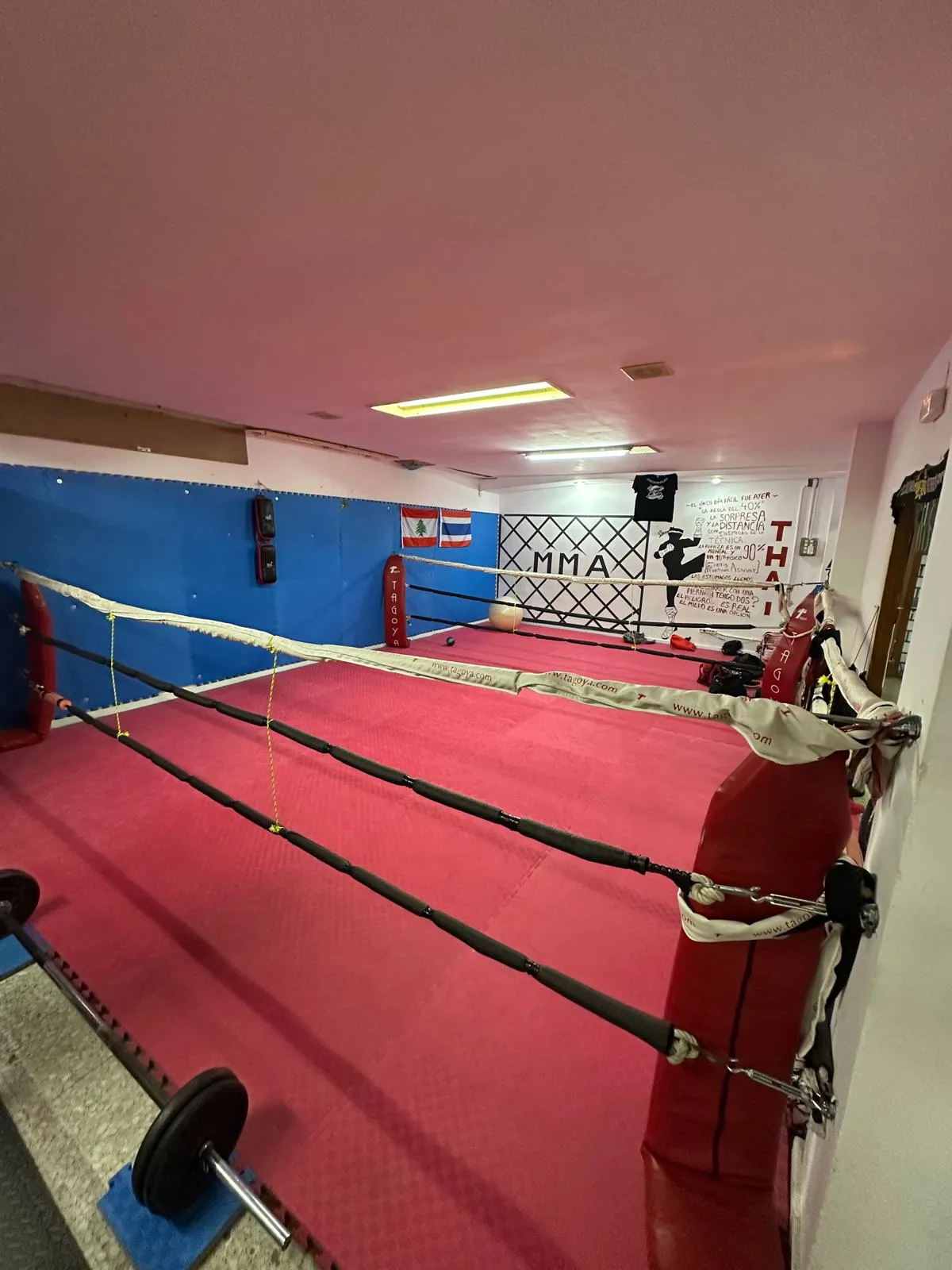 Imagen del ring de sparring del gimnasio Ronin Artes Marciales