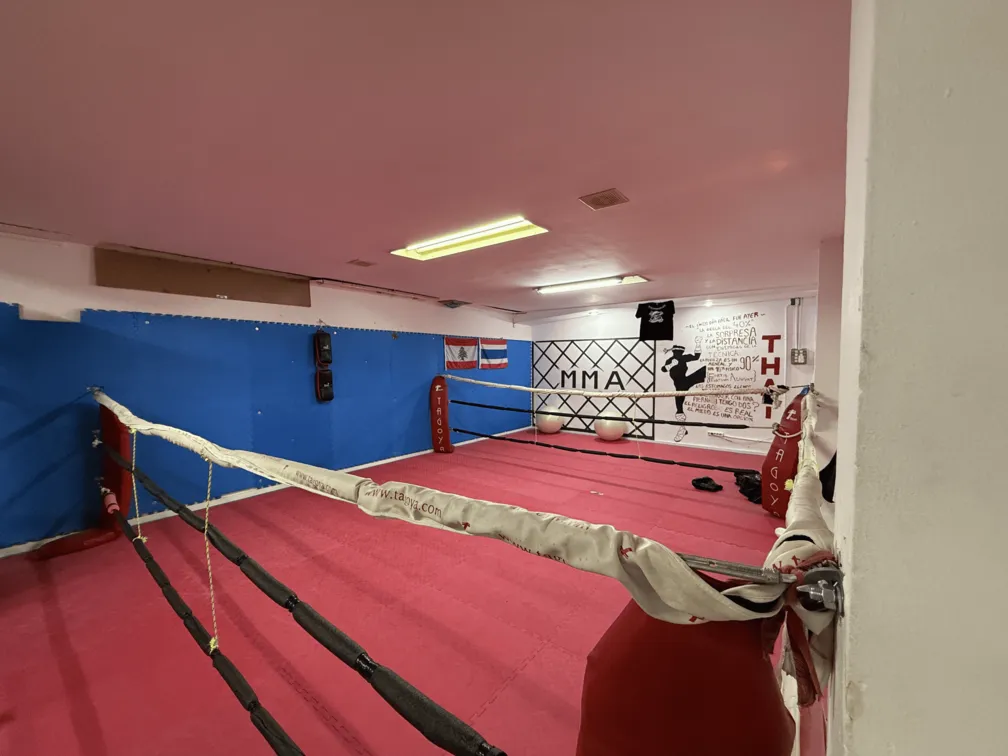 Imagen del ring de sparring del gimnasio Ronin Artes Marciales
