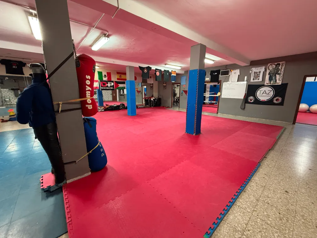 Imagen del tatami del gimnasio Ronin Artes Marciales